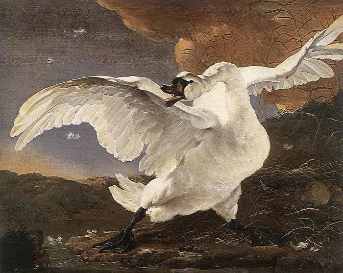ASSELYN, Jan The Threatened Swan before 1652 Germany oil painting art